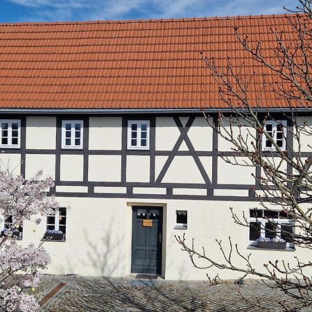 Winzerglueck Apartment Weinboehla Luaran gambar